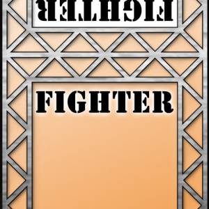 fsa-fighter.jpg