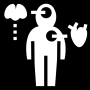anatomy.png