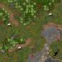 peaceful-meadow.jpg